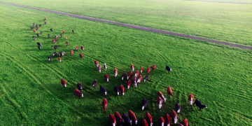 Agro y país: Medio siglo después