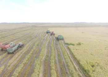 Potenciar alternativas en tierras bajas del Este