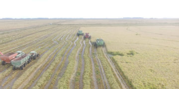 Potenciar alternativas en tierras bajas del Este