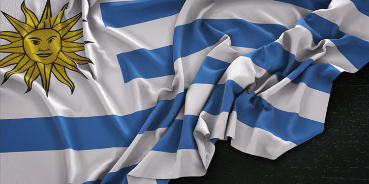 Las banderas y los trapos