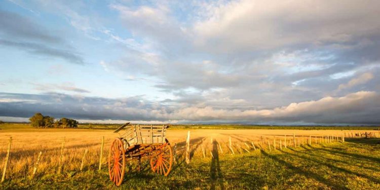 El círculo virtuoso de bienestar