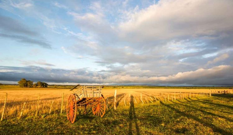 El círculo virtuoso de bienestar