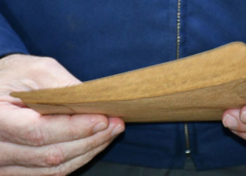 Elecciones internas en carne propia