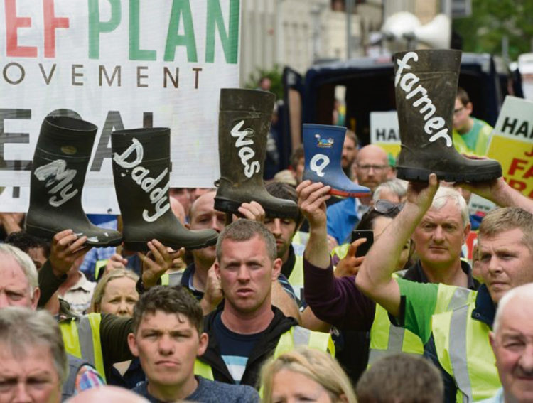 La “Europa rural” manifiesta preocupación por el Acuerdo Mercosur-UE