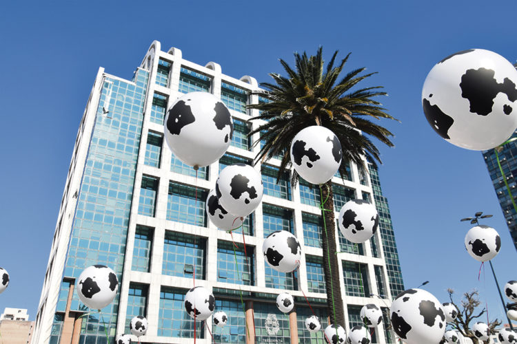 Tambicidio: se agudiza la crisis en la lechería