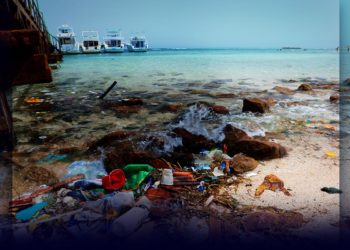 El desafío marítimo ambiental para el 2020