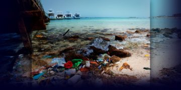 El desafío marítimo ambiental para el 2020