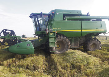 El drama del arroz comenzó a ser asumido