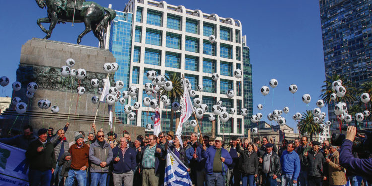 Tambicidio: se agudiza la crisis en la lechería