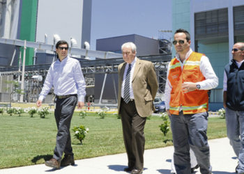 Las promesas de la celulosa