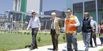 Las promesas de la celulosa