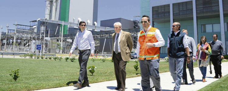 Las promesas de la celulosa