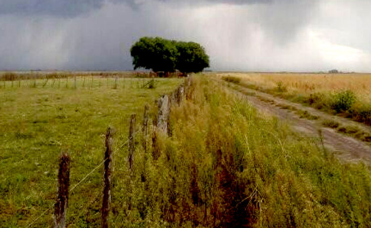 Despoblación de nuestro país