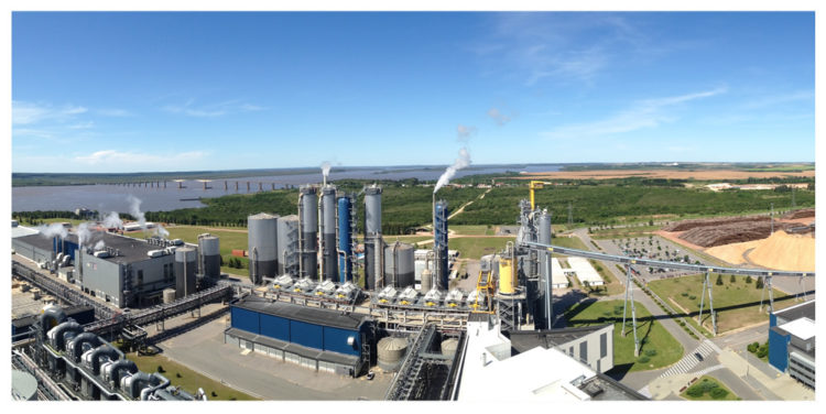 ¿Cual es el aporte de UPM al país real?