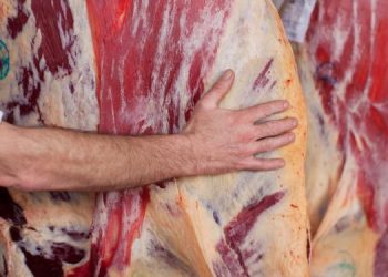 Carne argentina vuelve por sus fueros