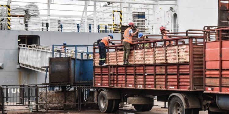 Pese a medidas sindicales en el puerto, viajarían 6.500 vaquillonas rumbo a China