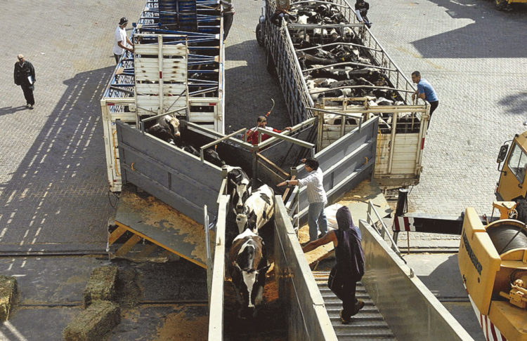 Costo de la industria frigorífica aumentó considerablemente en los últimos 5 años