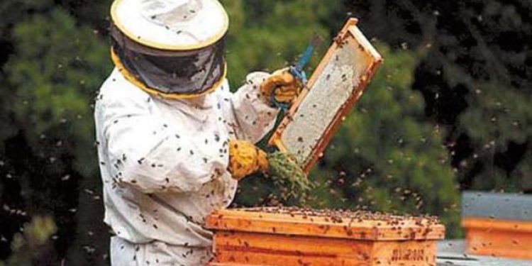 La abeja y los apicultores estamos en grave peligro