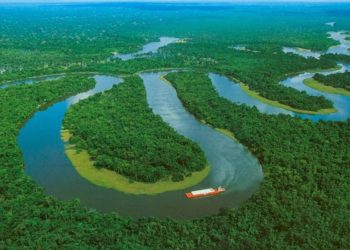 Amazonia:  déficit de soberanía y de proyecto nacional