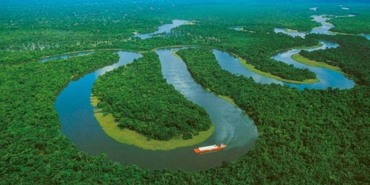 Amazonia:  déficit de soberanía y de proyecto nacional