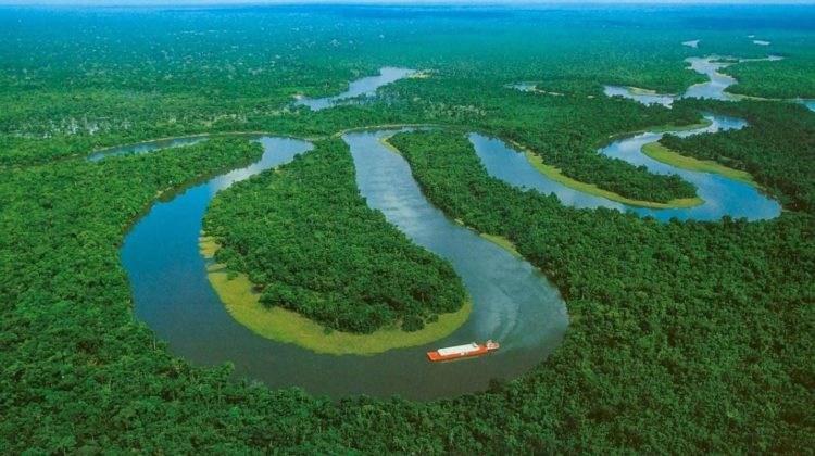 Amazonia:  déficit de soberanía y de proyecto nacional