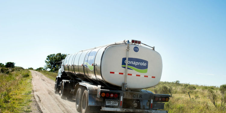 Estado y empresas nacionales