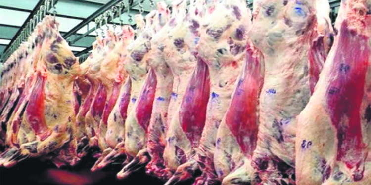 La ganadería que hoy goza de buena salud, sobrevivió a años adversos