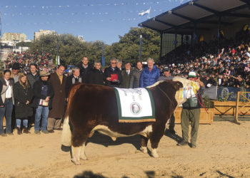 Expo Palermo: lugar de encuentro entre productores y destaque de uruguayos