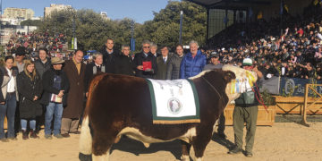 Expo Palermo: lugar de encuentro entre productores y destaque de uruguayos