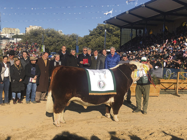 Expo Palermo: lugar de encuentro entre productores y destaque de uruguayos