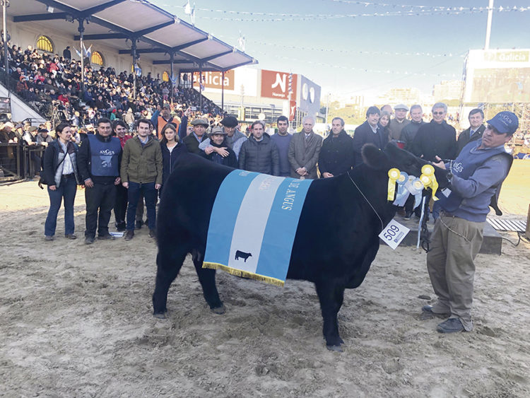 Expo Palermo: lugar de encuentro entre productores y destaque de uruguayos