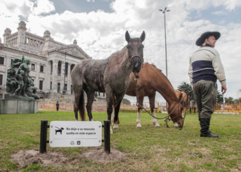 El hombre olvidado:  A un gobierno sin rumbo se le agrega un Estado confundido en su rol