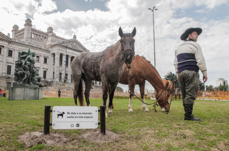 El hombre olvidado:  A un gobierno sin rumbo se le agrega un Estado confundido en su rol