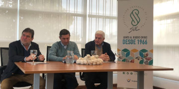 Lanzan programa de intensificación en producción ovina para anualizar oferta