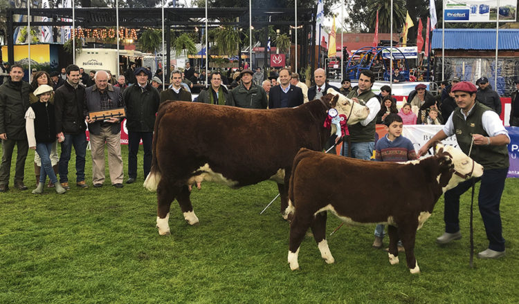 La genética uruguaya compite en cualquier pista