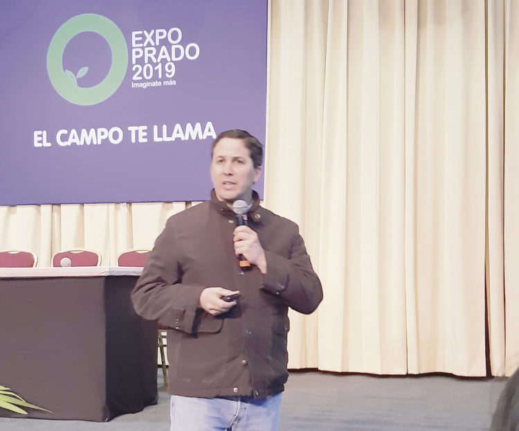 Cadena arrocera dejó clara la trampa de los costos y la falta de competitividad