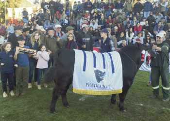 La genética uruguaya compite en cualquier pista