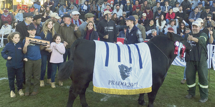 La genética uruguaya compite en cualquier pista