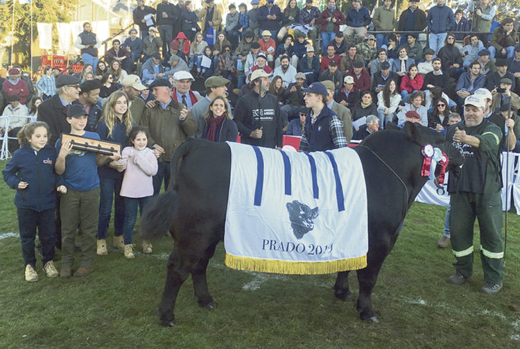 La genética uruguaya compite en cualquier pista