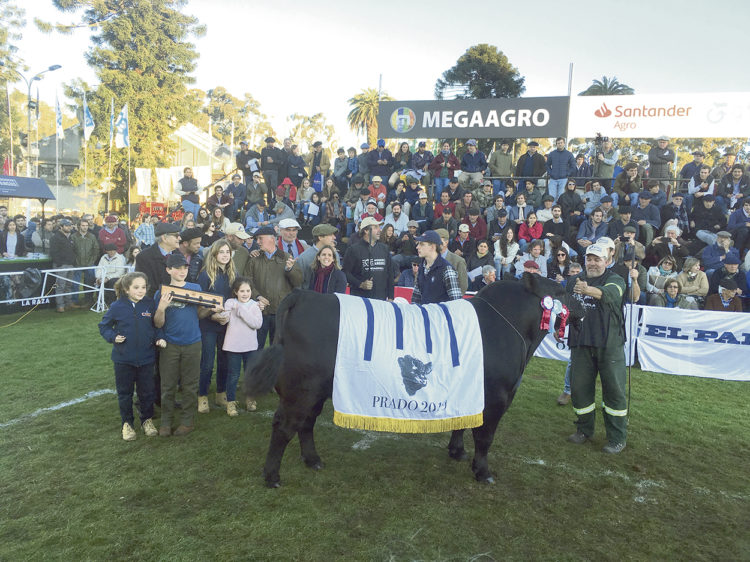 La genética uruguaya compite en cualquier pista