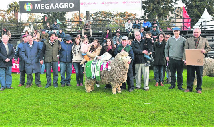 Texel se agranda en momentos que el mercado demanda carne ovina