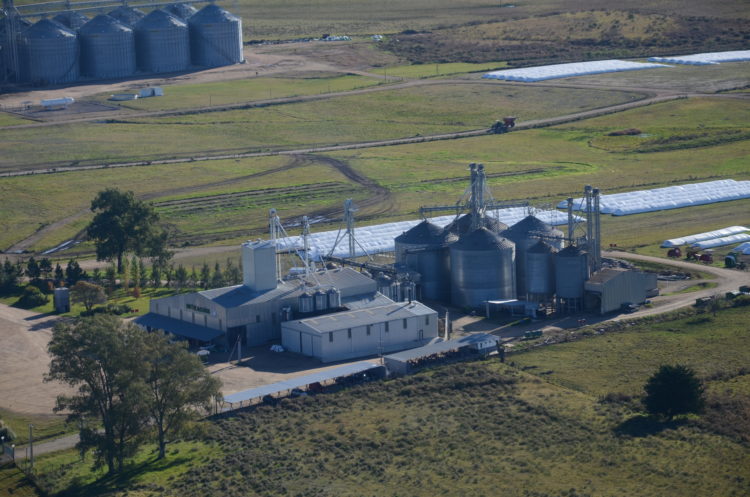 Bioración: agregando valor e identidad