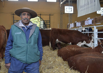 Evaristo Melo: el cabañero más antiguo de la Expo Prado 2019