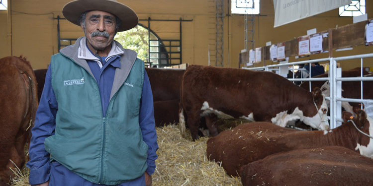 Evaristo Melo: el cabañero más antiguo de la Expo Prado 2019