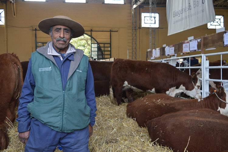Evaristo Melo: el cabañero más antiguo de la Expo Prado 2019