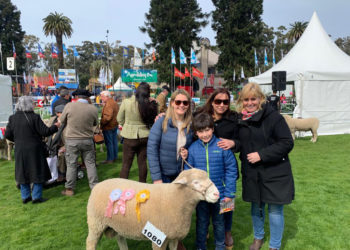 Expo Prado ya tiene sus primeros Grandes Campeones