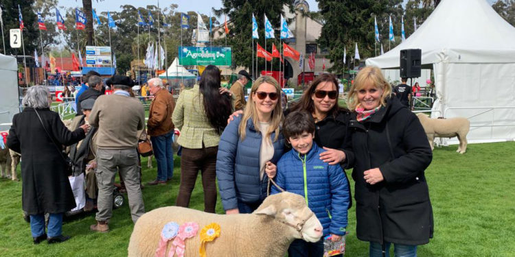 Expo Prado ya tiene sus primeros Grandes Campeones