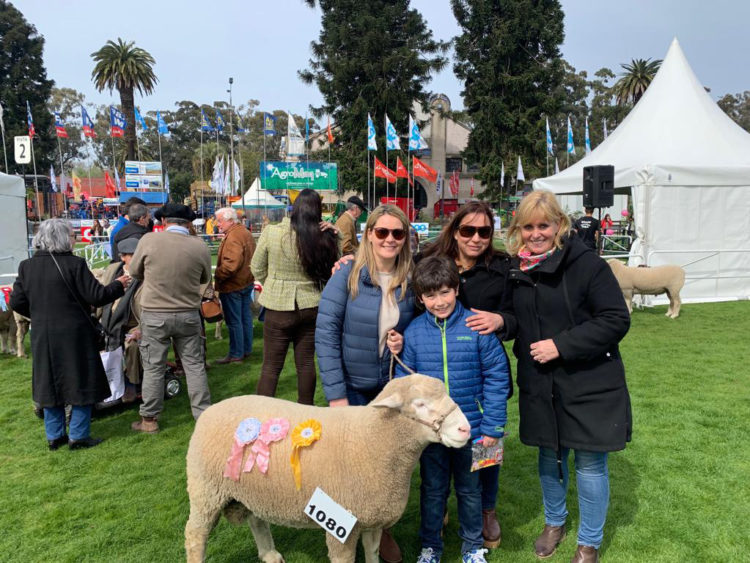 Expo Prado ya tiene sus primeros Grandes Campeones