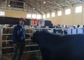 Sociedad ganadera El Yunque, tradición y esfuerzo con grandes resultados