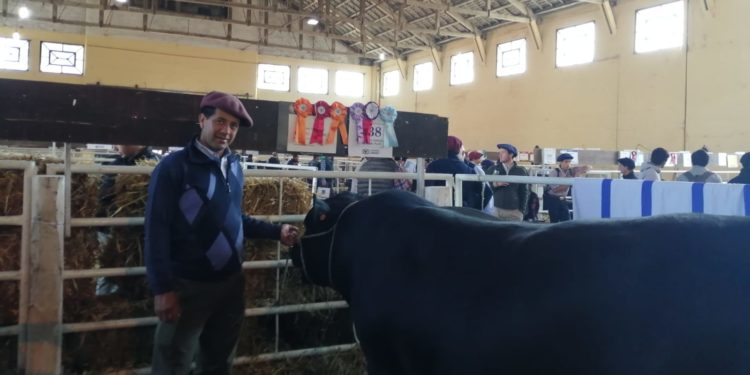 Sociedad ganadera El Yunque, tradición y esfuerzo con grandes resultados